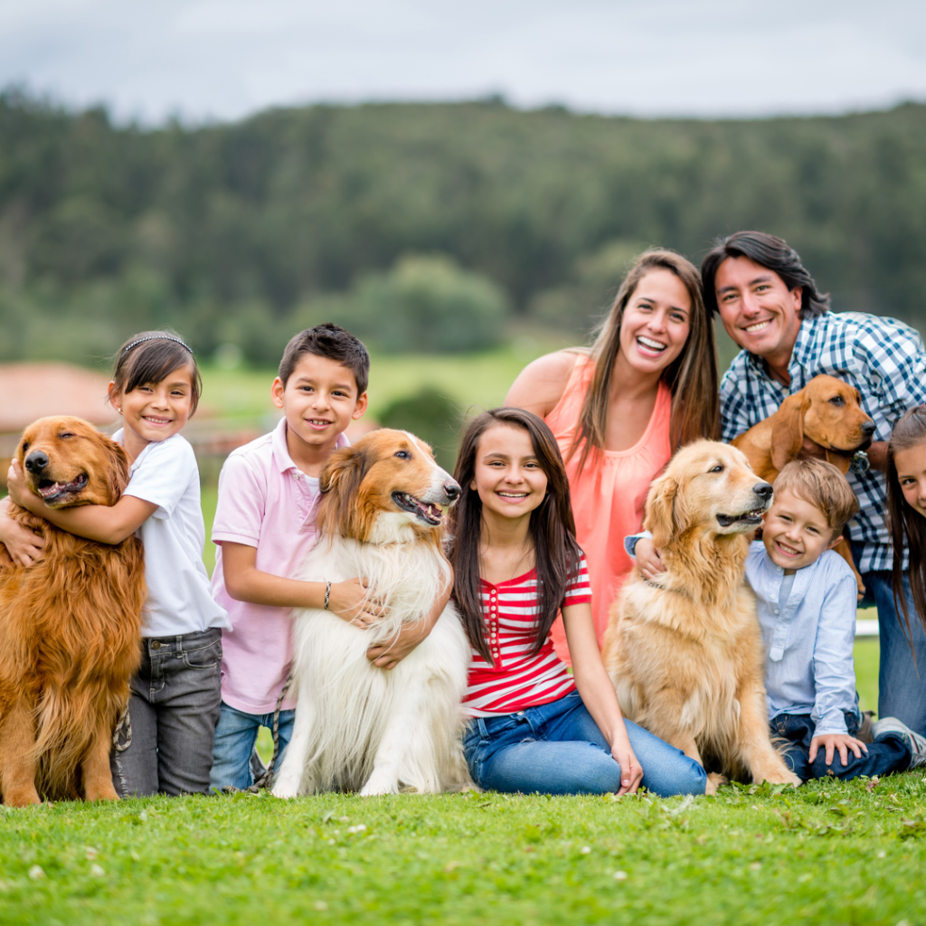 Pechera Tokyo Amarilla