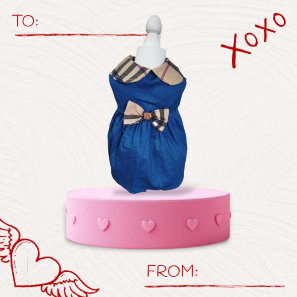 WhatsApp Image 2025-02-18 at 12.54.13 (1) Vestido Petberry