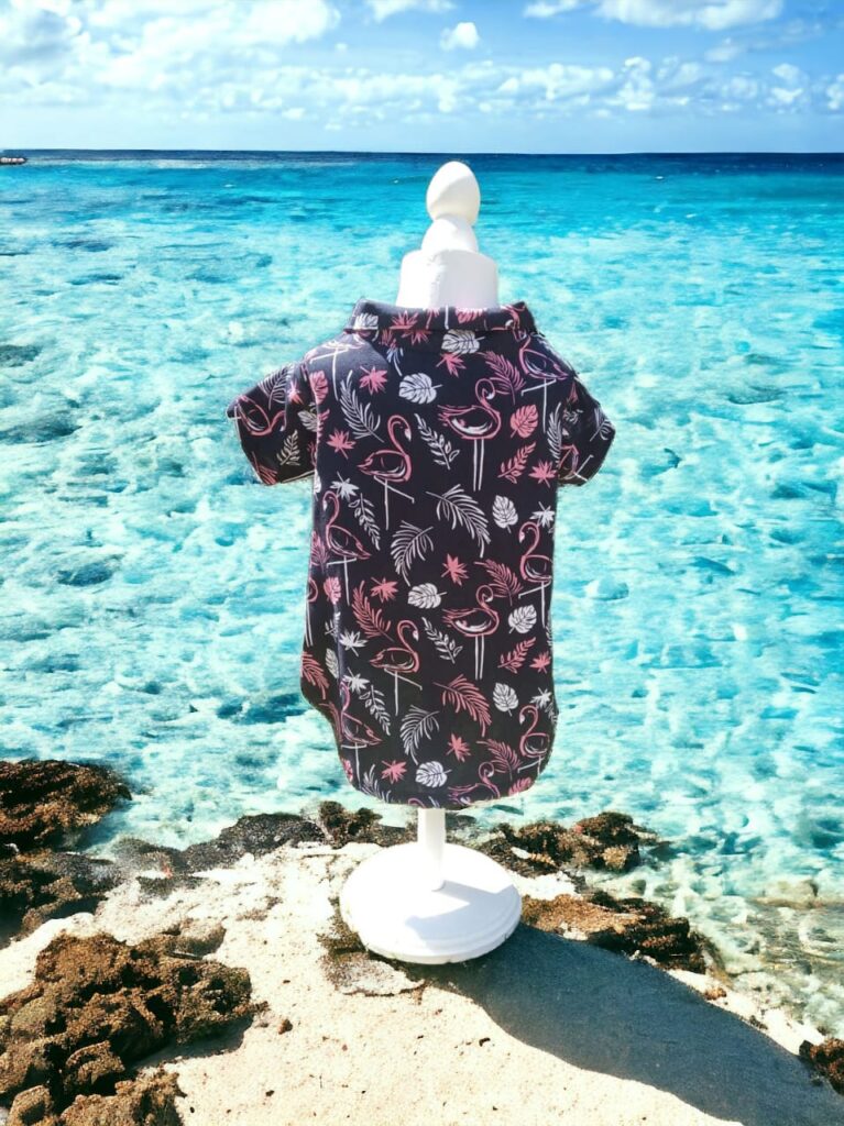 WhatsApp Image 2025-02-18 at 19.03.04